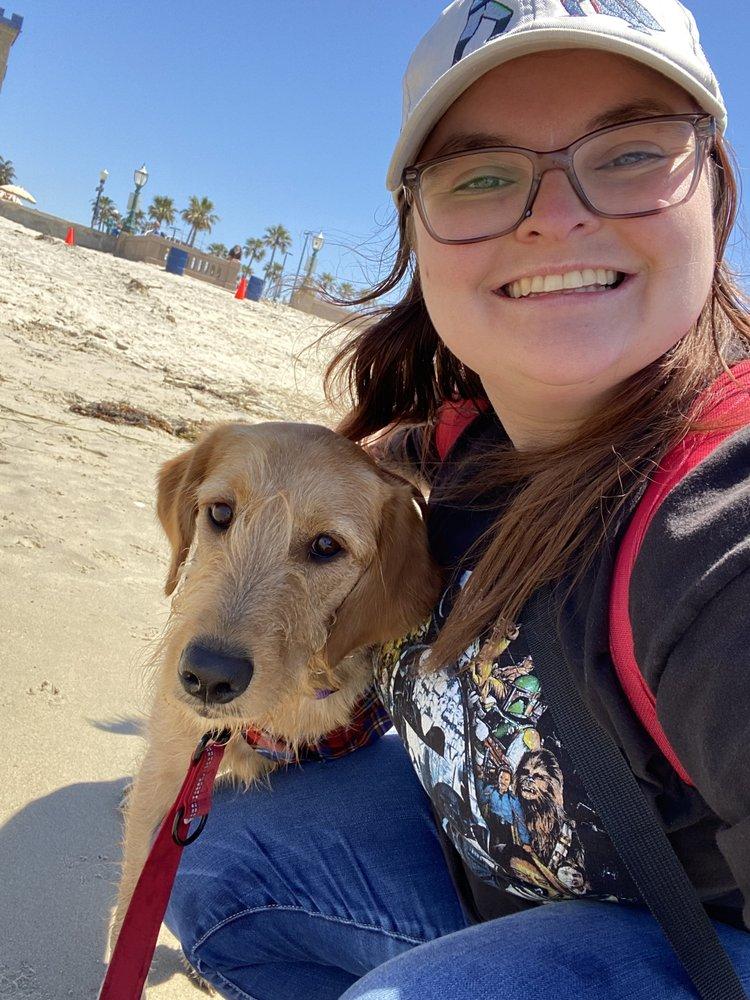 The Comforted Canine - Image 1