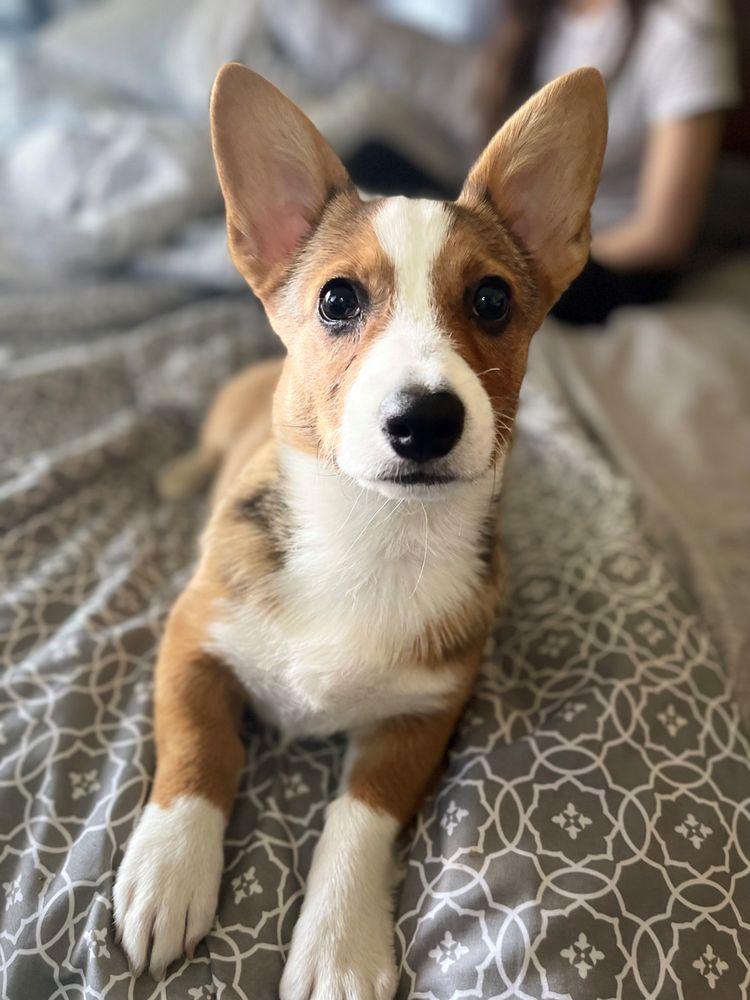 El Club de Nana - Image 1