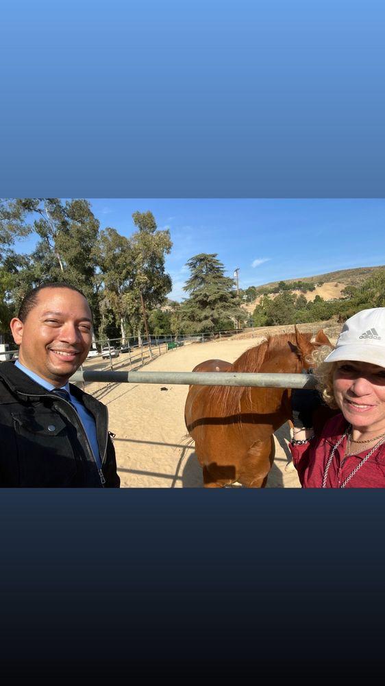 Saffyre Sanctuary - Image 1