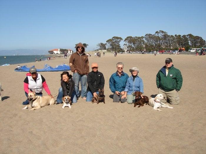 Dog Gone Good! - Image 1