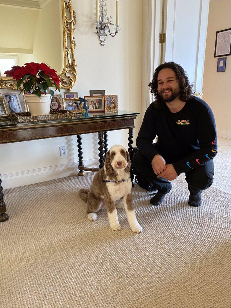 Bark Busters Home Dog Training San Francisco - Image 1