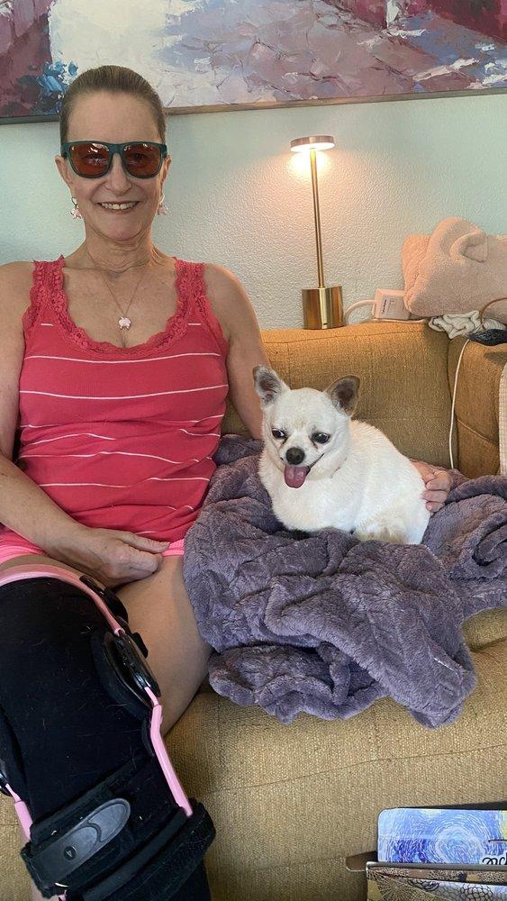 Lionel's Legacy Senior Dog Rescue - Image 1