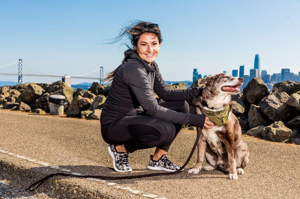 Refined K-9 Dog Training - Image 1