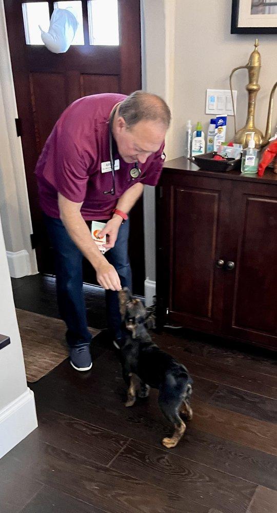 4 Paws Mobile Veterinary Services - Image 1