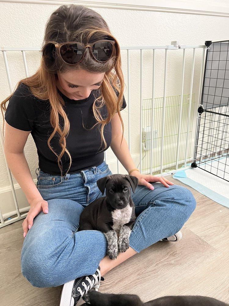 The Animal Pad - Image 1