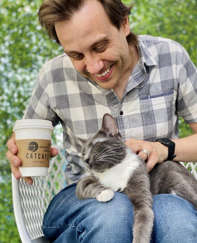 CatCafe Lounge - Image 1