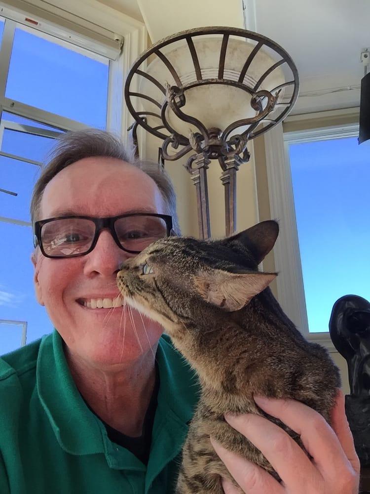 Kitty Kat Pet Sitting Services - Image 1