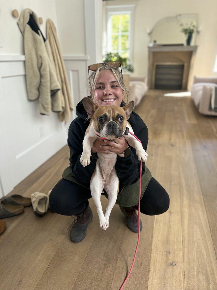 Canine 209 - Image 1