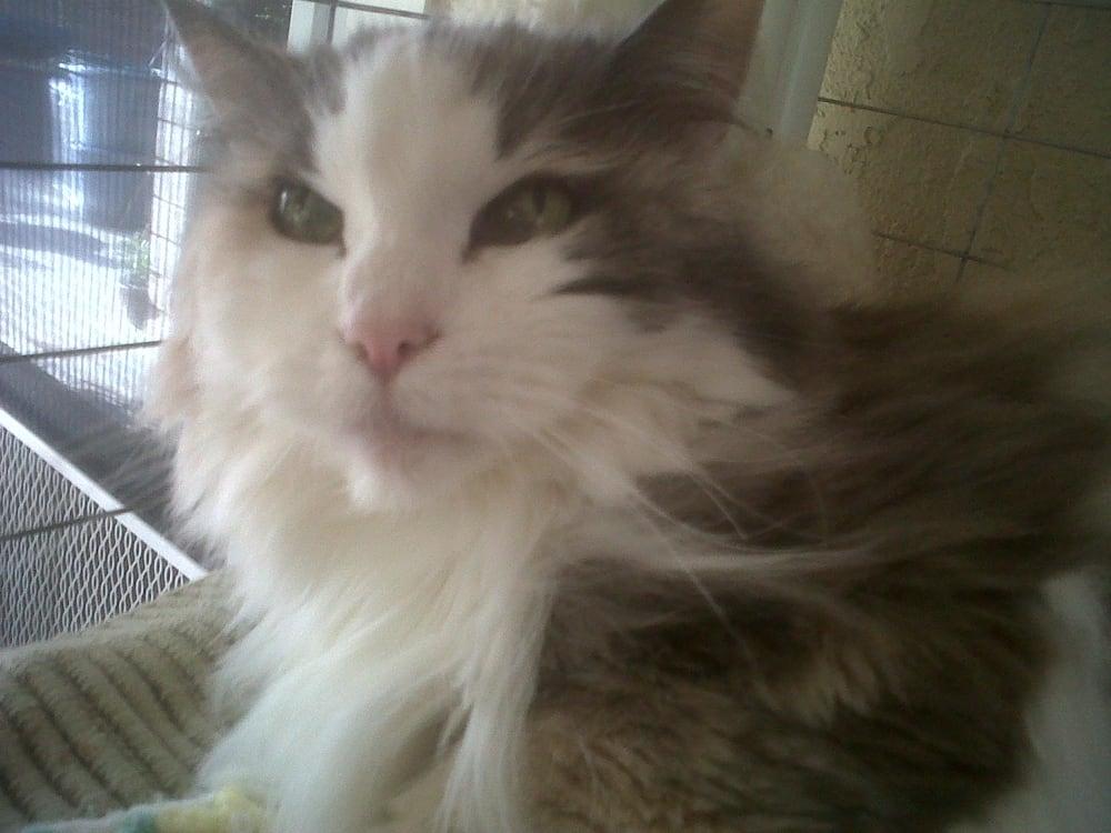 Double D Rescue Ranch-Heaven Can Wait - Image 1