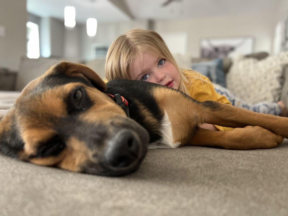 Adopt a Friend Forever Rescue - Image 1