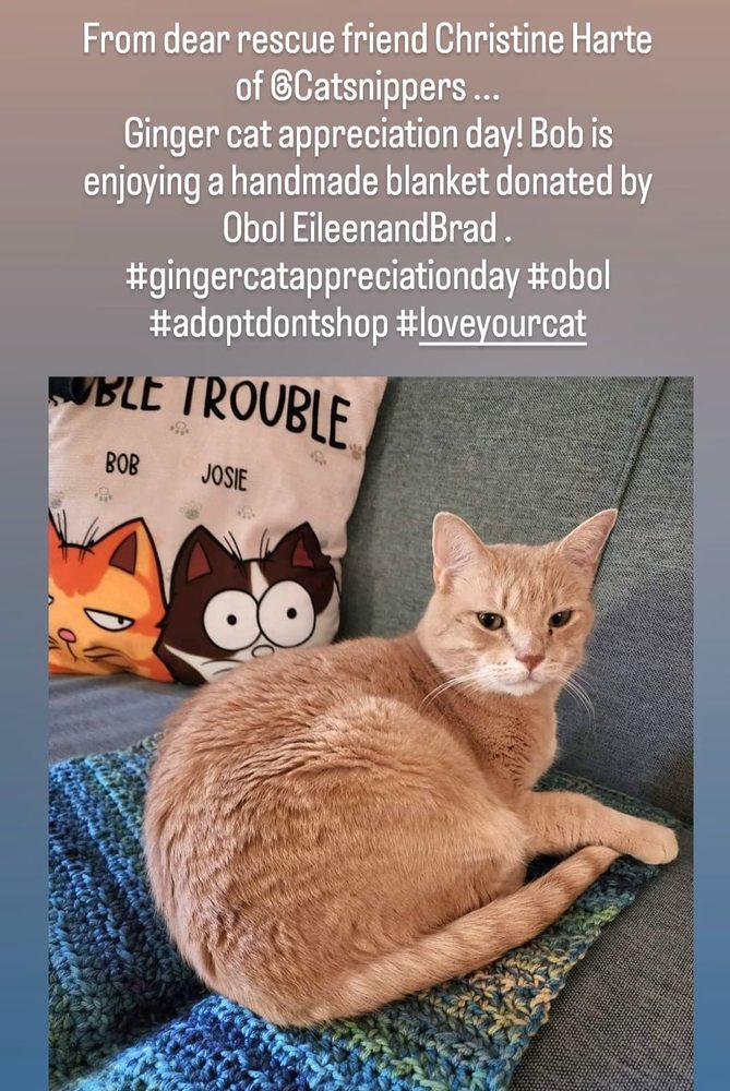 Operation Blankets of Love - Image 1