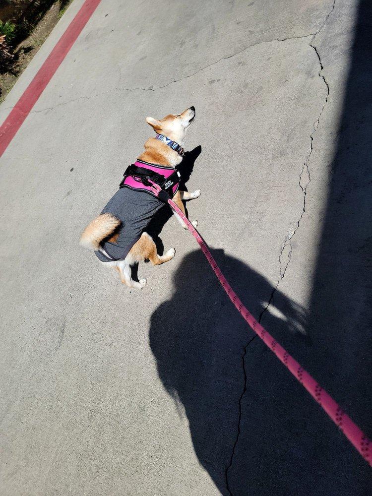 Petcare Animal Hospital - Image 1