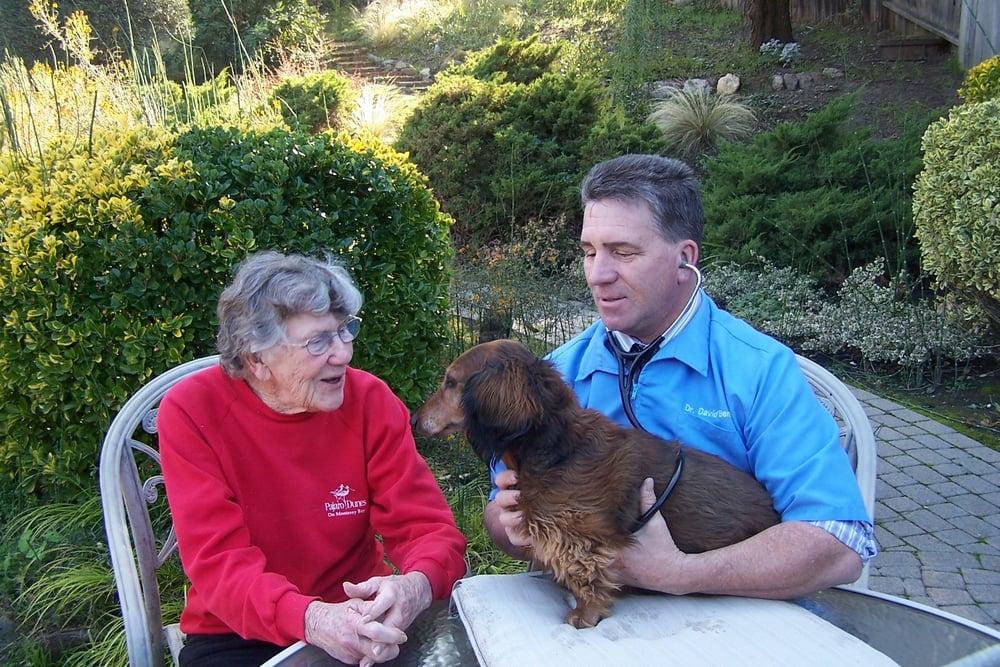 Dr. Bennett's Veterinary House Calls - Image 1