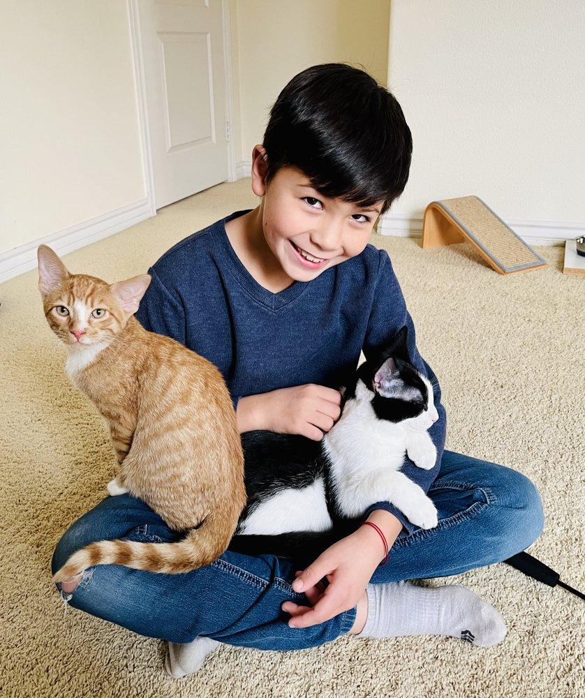 A Pawsitive Approach - Image 1