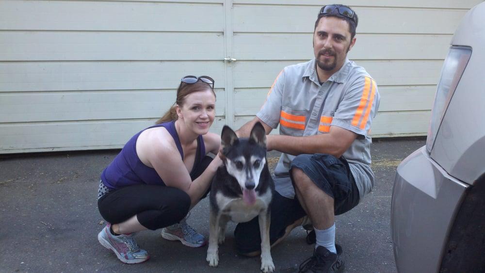 The Social Pet - Image 1