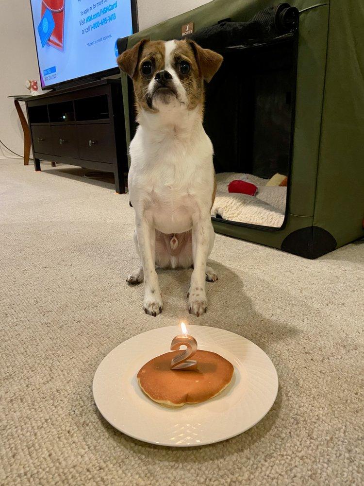 Paws and Tails Animal Rescue - Image 1