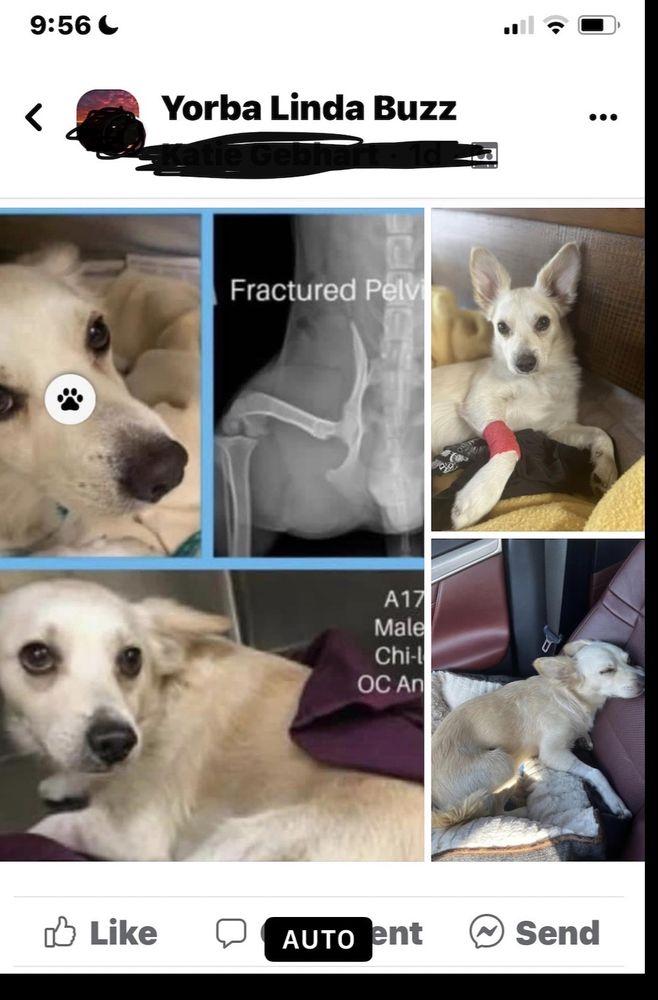 The Cantu Foundation - Image 1