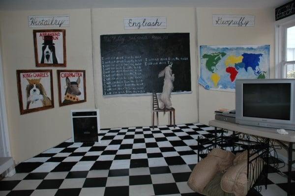 Bark to Basics - Image 1