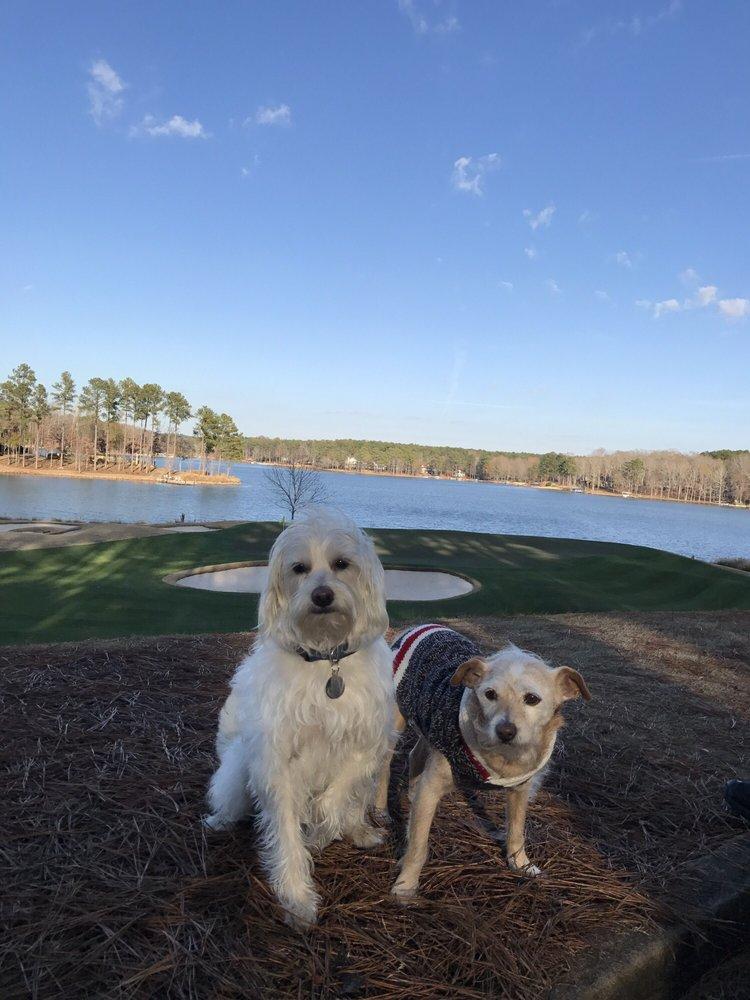 ART & Paws Animal Rescue - Image 1