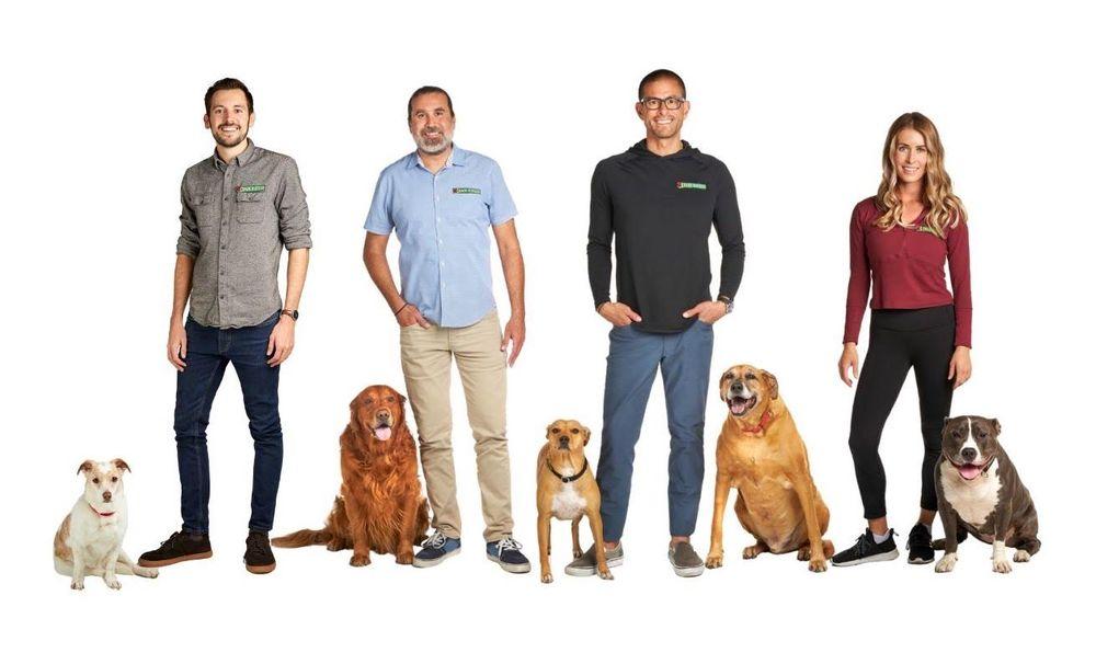 Bark Busters Home Dog Training San Diego - Image 1