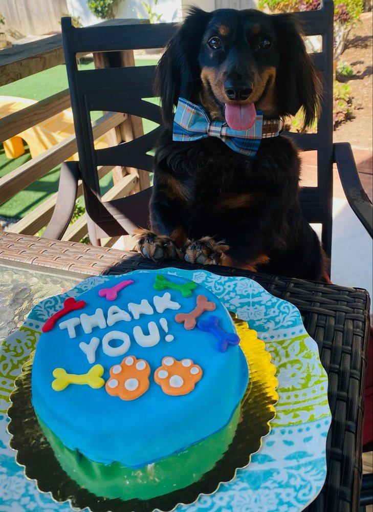 The Art of Dog - Image 1