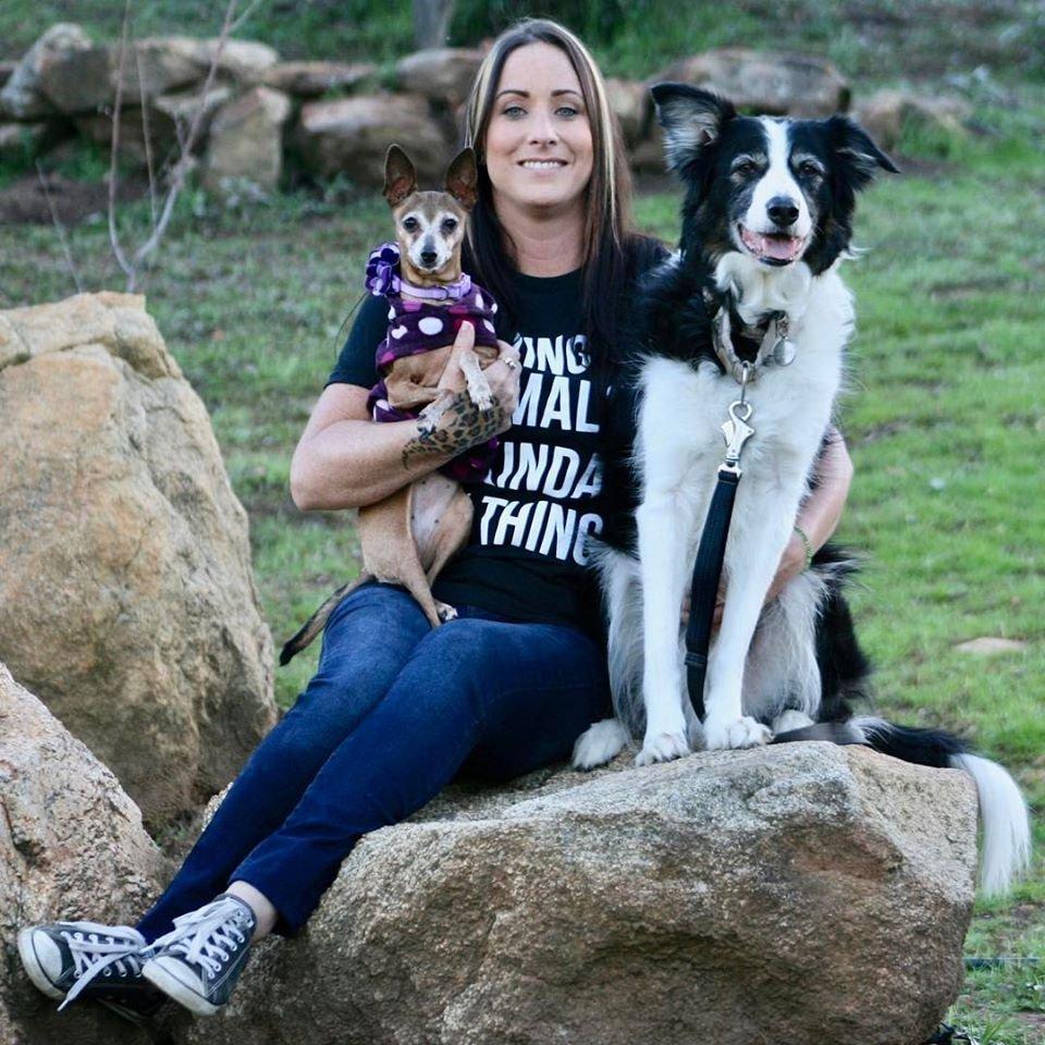 Click Dog Training - Image 1