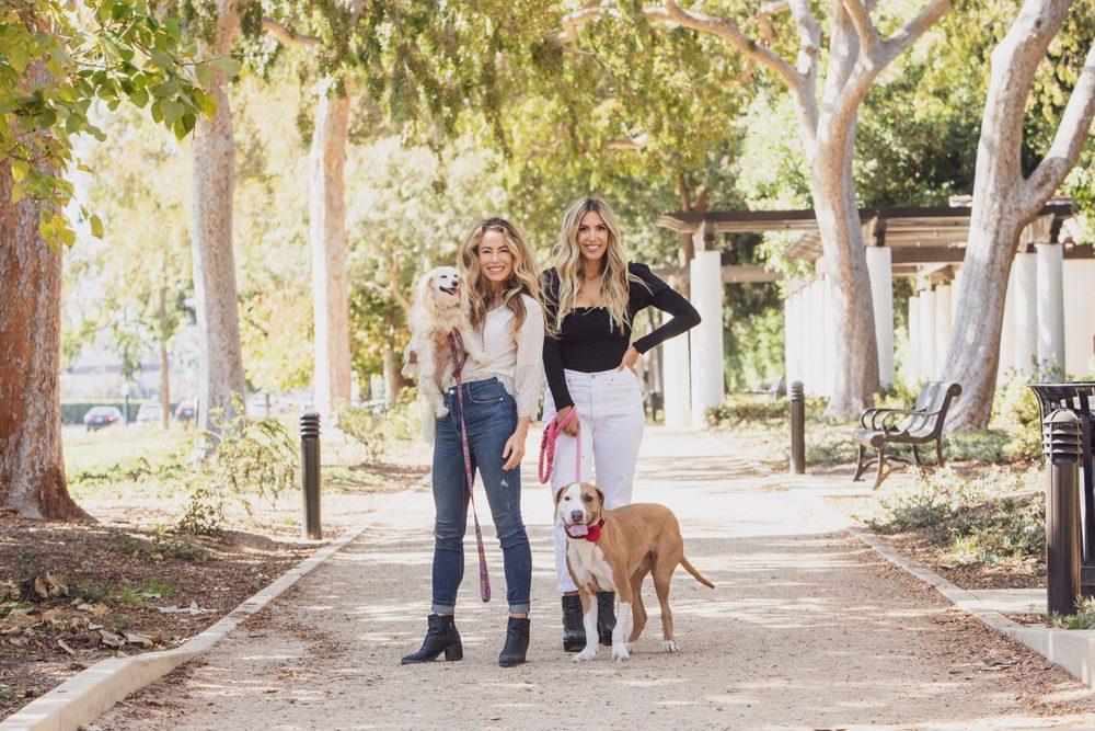 Deity Animal Rescue - Image 1